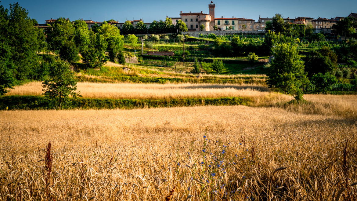 La coltivazione dei cereali in Italia